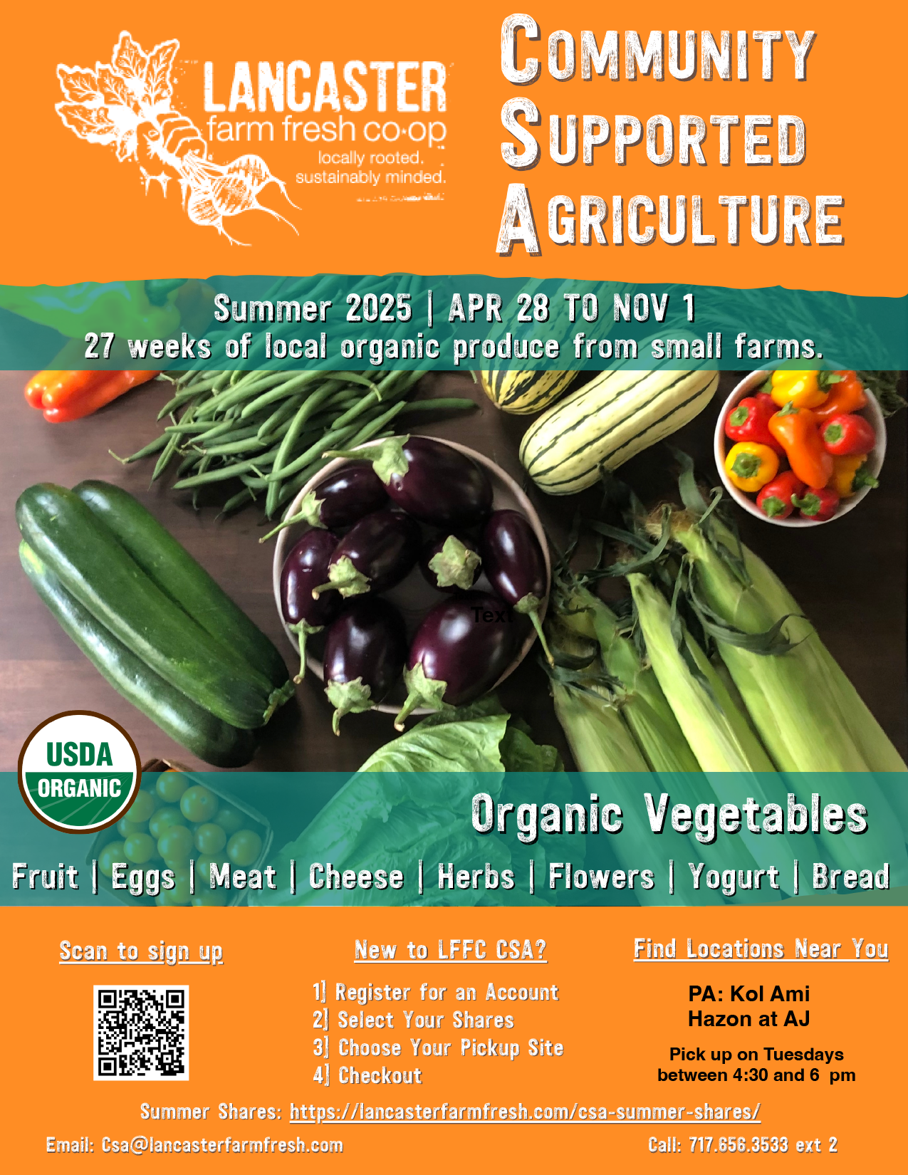 Summer_2025_AllShares image
